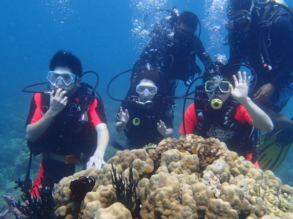 OLYMPUS DIGITAL CAMERA