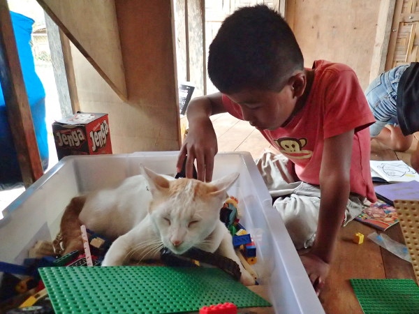 OLYMPUS DIGITAL CAMERA