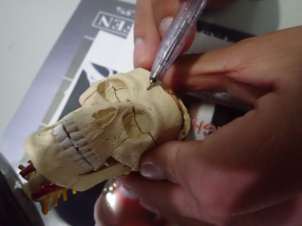 OLYMPUS DIGITAL CAMERA